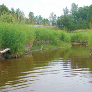 BBLUEBERRY CREEK CATCHMENT