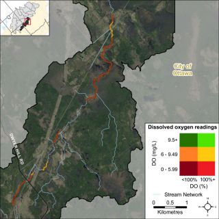 Figure XX A bivariate assessment of dissolved oxygen concentration (mg/L) and saturation (%) in Nichols Creek