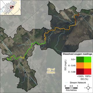 Figure XX A bivariate assessment of dissolved oxygen concentration (mg/L) and saturation (%) in the Jock River Richmond Fen reach