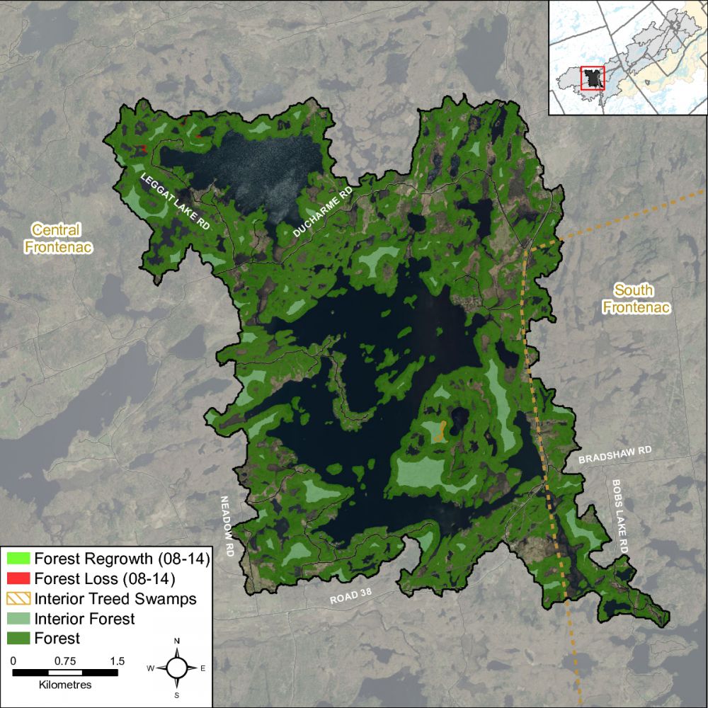 InteriorForestTay-RiverEagle-Creek-001-001