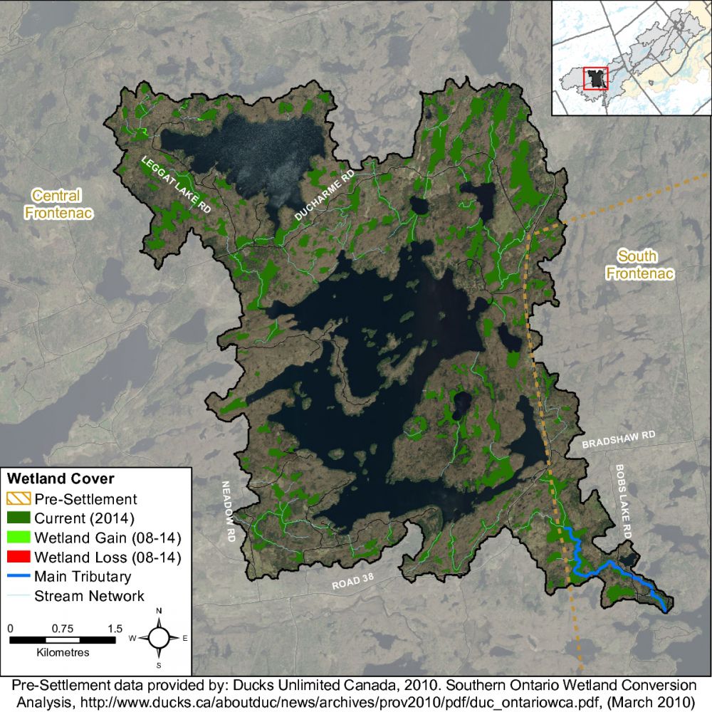 WetlandChangeTay-RiverEagle-Creek-001-001