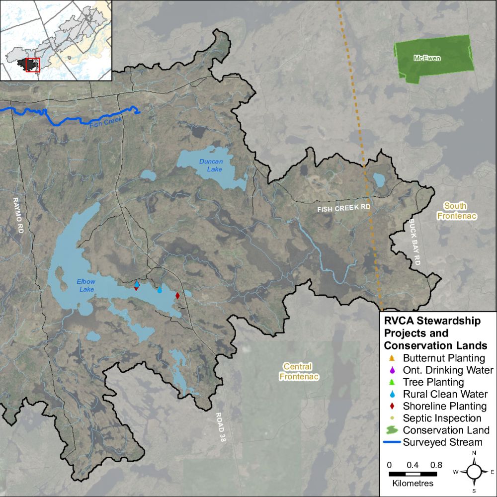 StewardshipTay-RiverFish-Creek-001-001