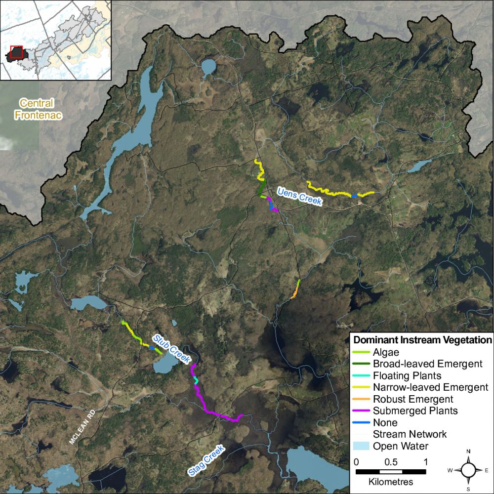 Figure XX Dominant vegetation type along Uens and Stub Creek