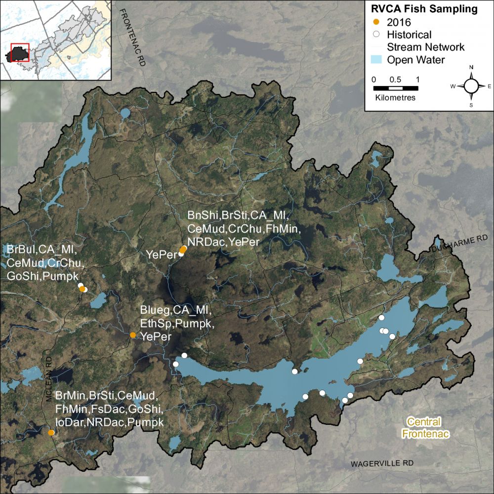 Figure XX Fish Community sampling observations for 2016