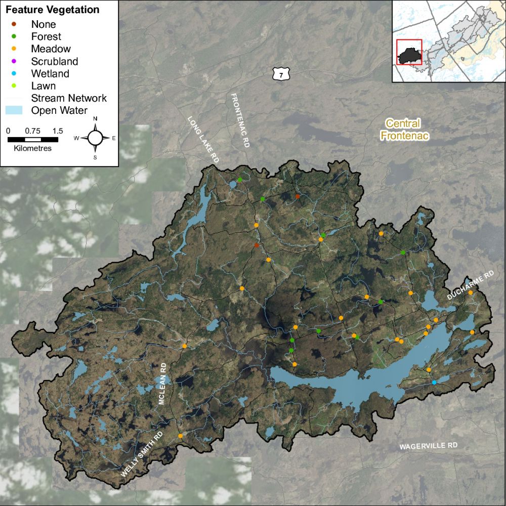 Figure XX Headwater feature vegetation types in the Long Lake catchment