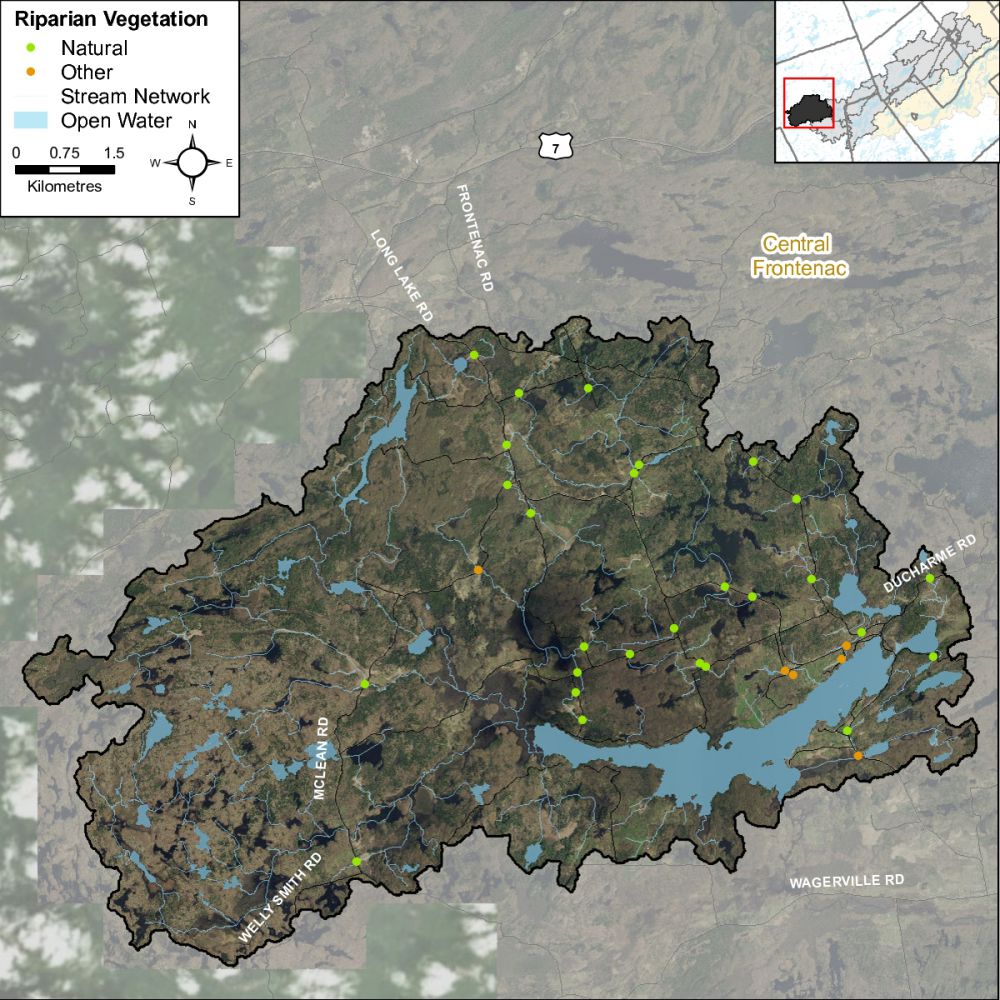 Figure XX Headwater feature riparian vegetation types in the Long Lake catchment