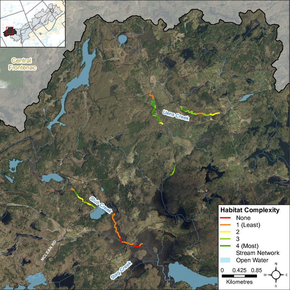 Figure XX Habitat complexity along Uens and Stub Creek