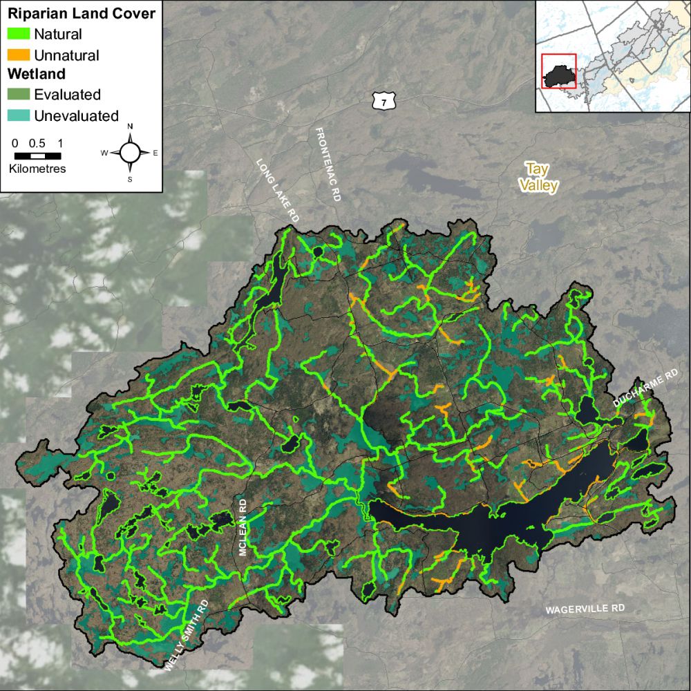 RiparianLandCoverwWetlandTay-RiverLong-Lake-001-001