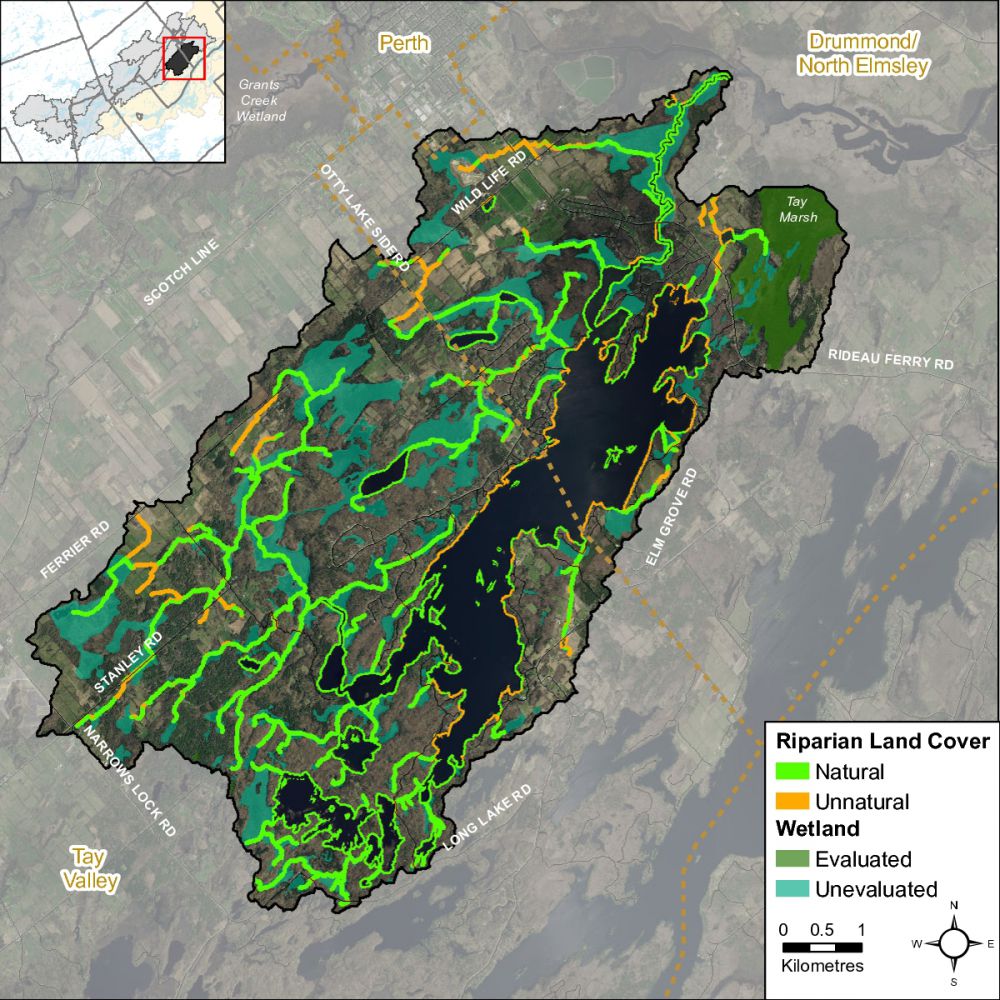 RiparianLandCoverwWetlandTay-RiverOtty-Lake---Jebbs-Creek-001-001