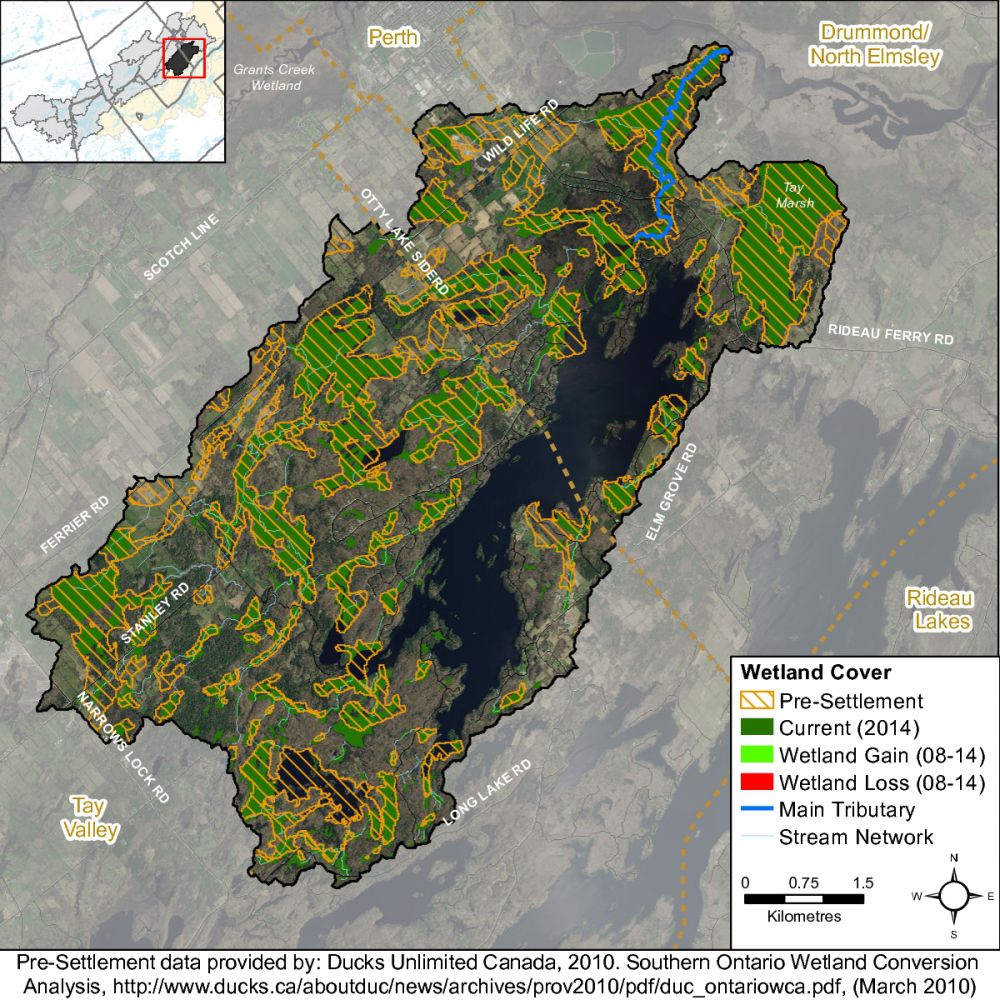 WetlandChangeTay-RiverOtty-Lake---Jebbs-Creek-001-001