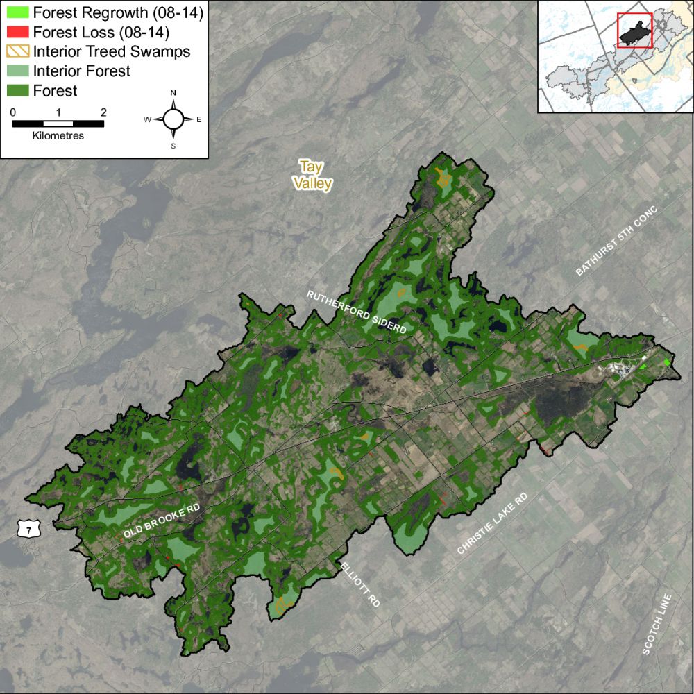 InteriorForestTay-RiverRudsdale-001-001