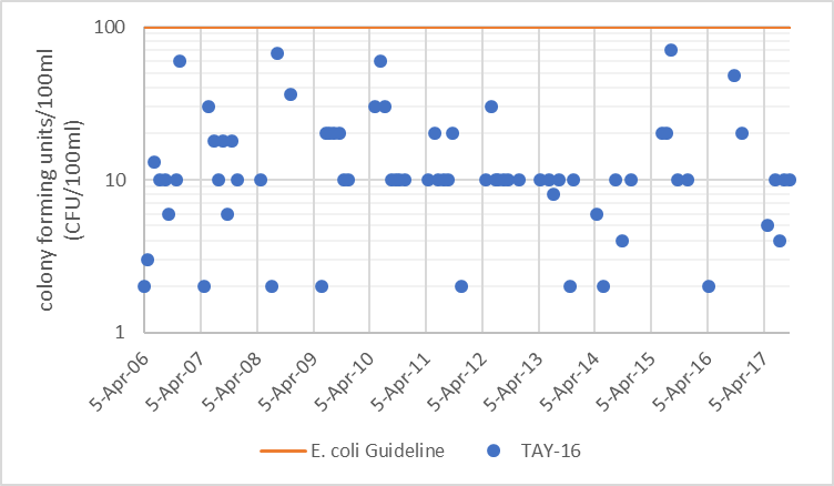 Figure 72  Distribution of E. coli counts at TAY-16 in the Tay River, 2006-2017