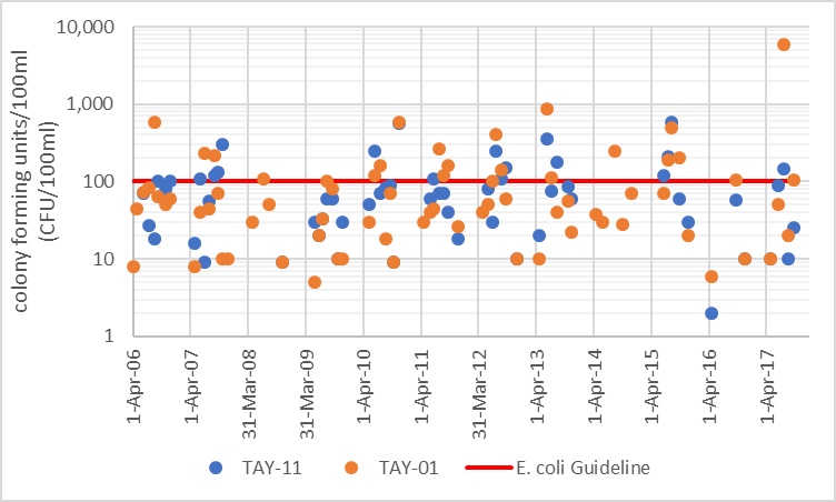 Figure 8 Distribution of E. coli counts in the Port Elmsley catchment, 2006-2017.