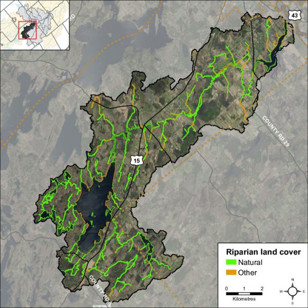 Figure 38 Natural and other riparian land cover in the Otter Lake and Creek catchment